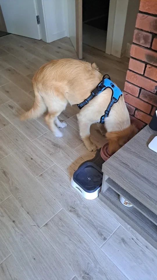 Review Card