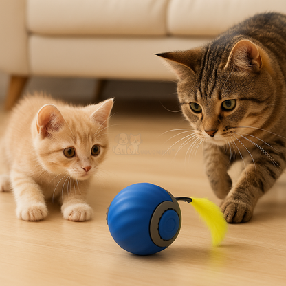 ChaseBall™ – Den smarta kattleksaken
