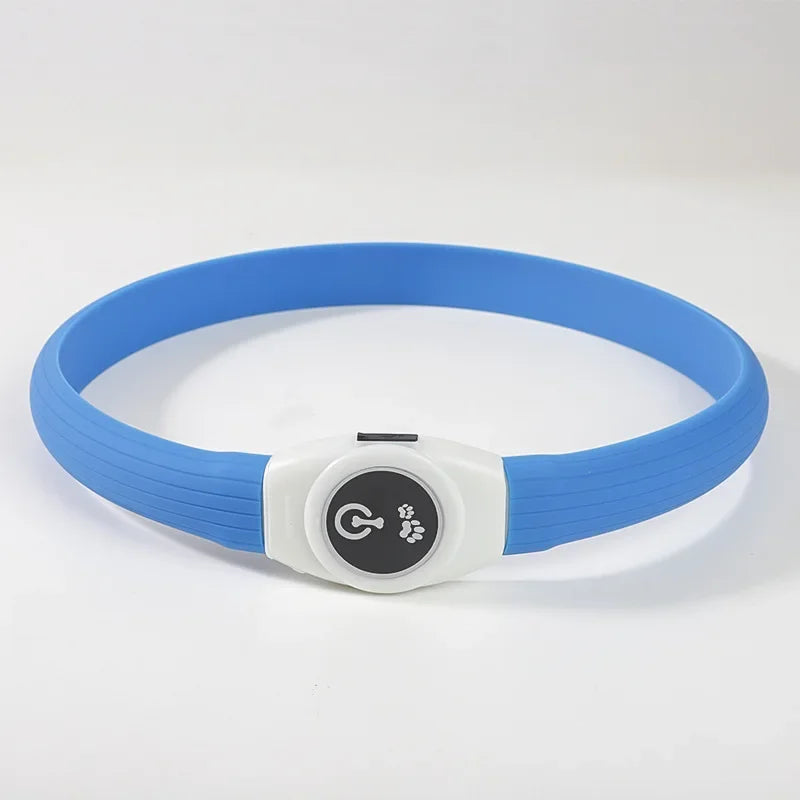 GlowGuard LED-halsband för hund i blått