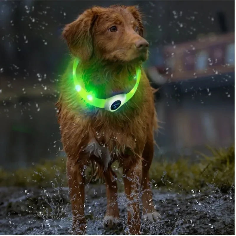 GlowGuard™ LED-halsband för hund – uppladdningsbart