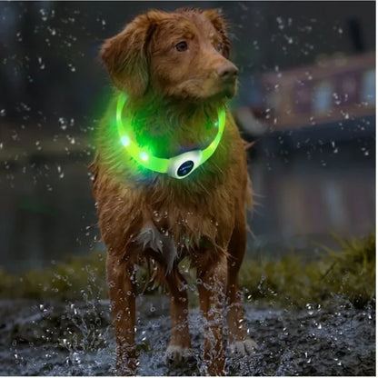 GlowGuard™ LED-halsband för hund – uppladdningsbart