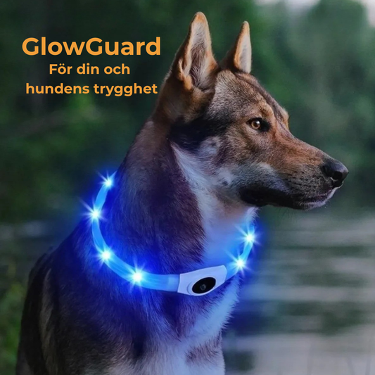 ❄️ NYA GlowGuard™