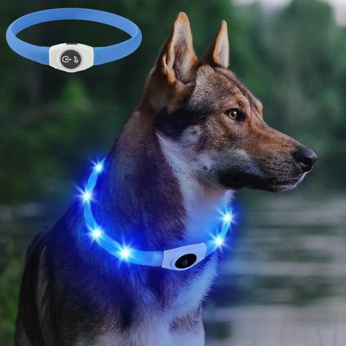 GlowGuard™ LED-halsband för hund – uppladdningsbart