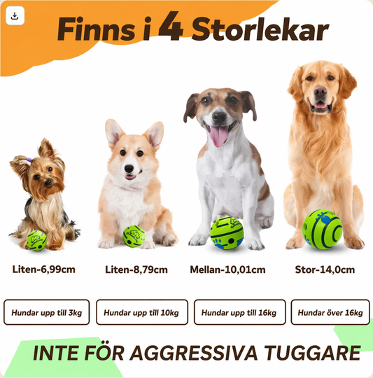 Glädjeboll för aktiv hundlek