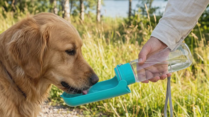 Portabel vattenflaska för hund
