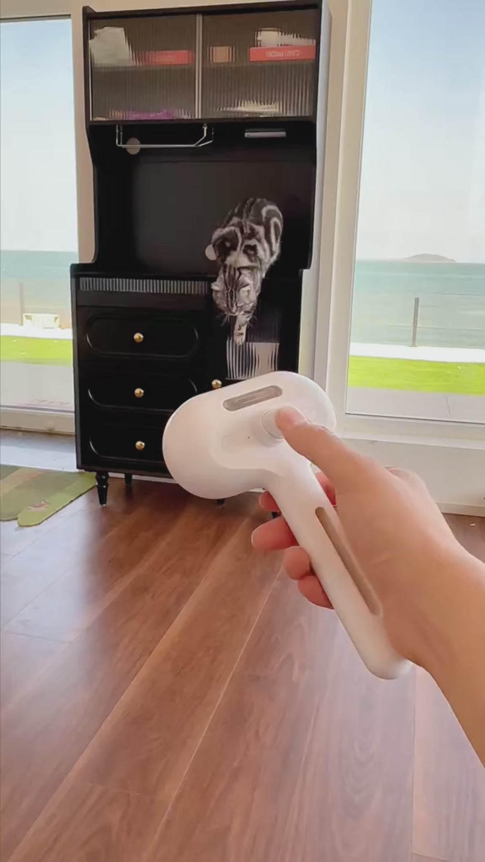 Skonsam ångborste för en mjukare, välvårdad päls