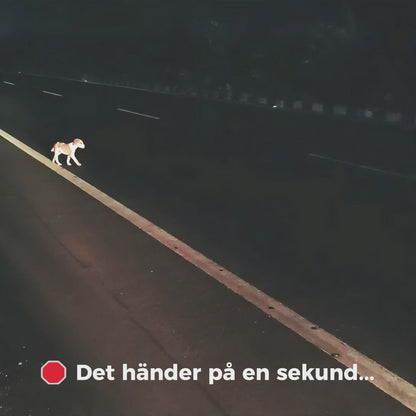 ❄️ NYA GlowGuard™