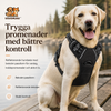 Reflekterande Hundsele för Dagliga Promenader