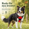 Reflekterande Hundsele för Dagliga Promenader